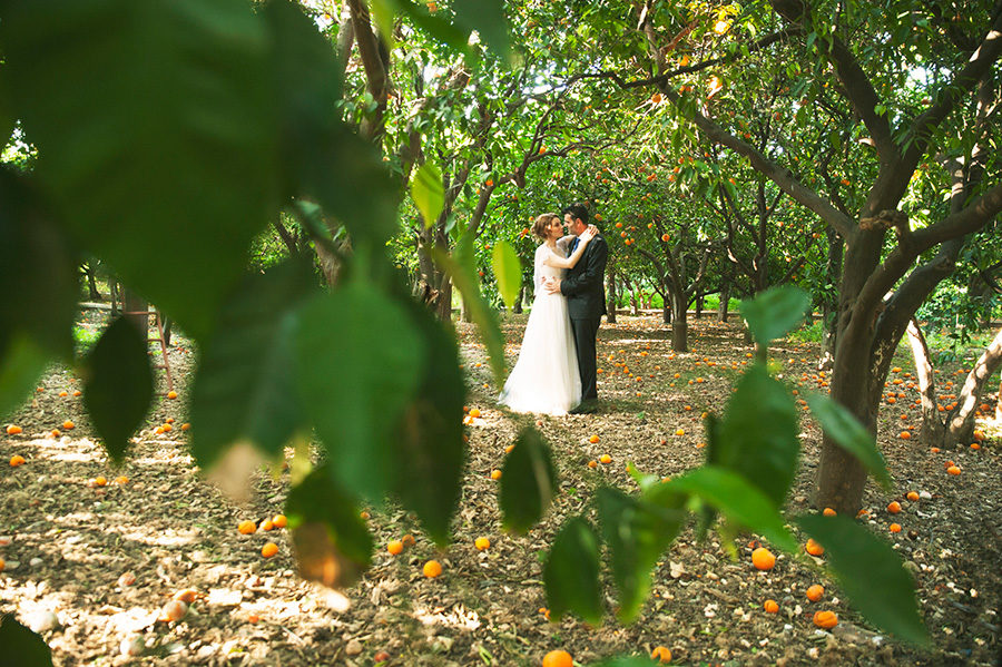 Wedding Photoshooting. orange trees. Bride's and Groom's portrait. Riziko. greek wedding . Chios , Greece. greek island. Couple photoshooting. Love and married. Alepa Katerina . Layer Photography