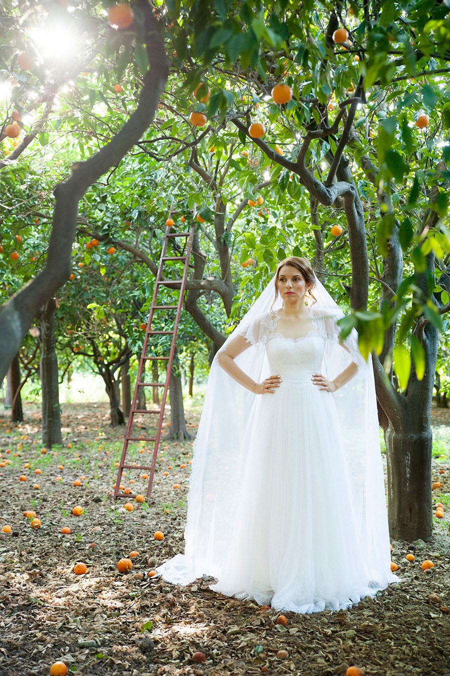 Wedding Photoshooting. orange trees. Bride's and Groom's portrait. Riziko. greek wedding . Chios , Greece. greek island. Couple photoshooting. Love and married. Alepa Katerina . Layer Photography